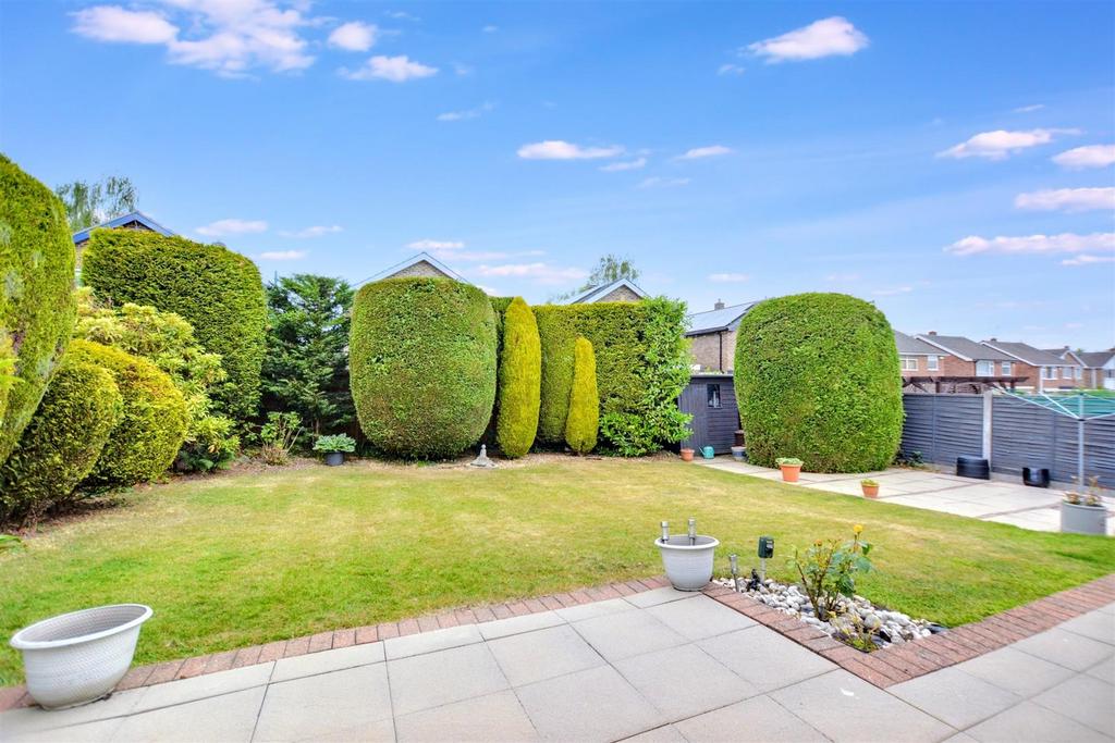 Garden 1.jpeg