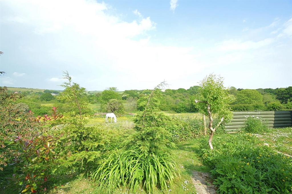 Resized Garden2.jpg
