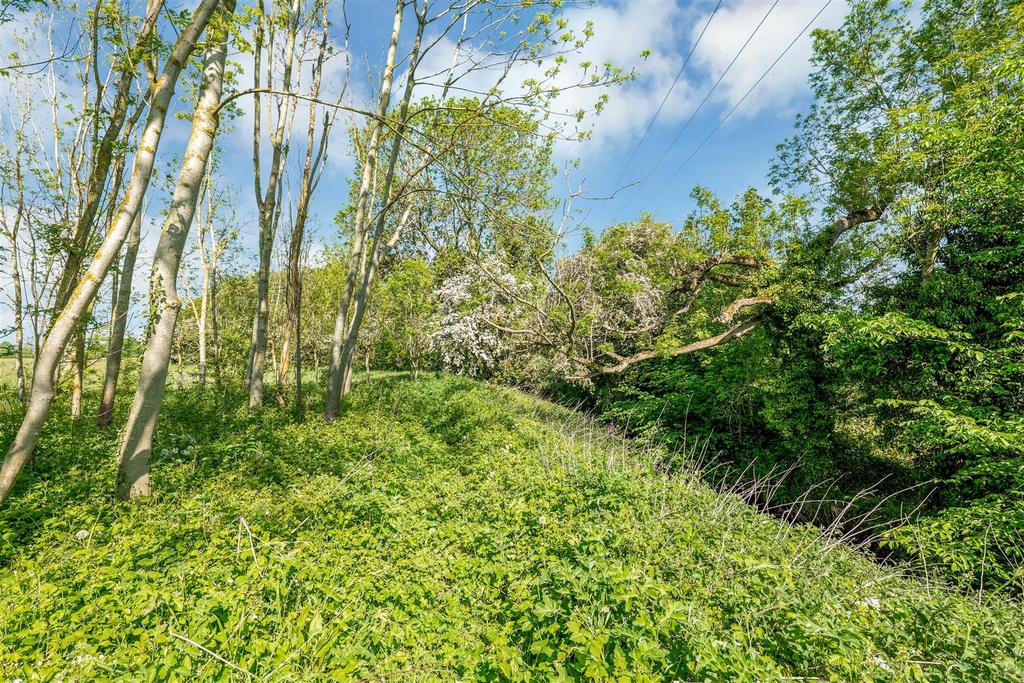 Wild area
