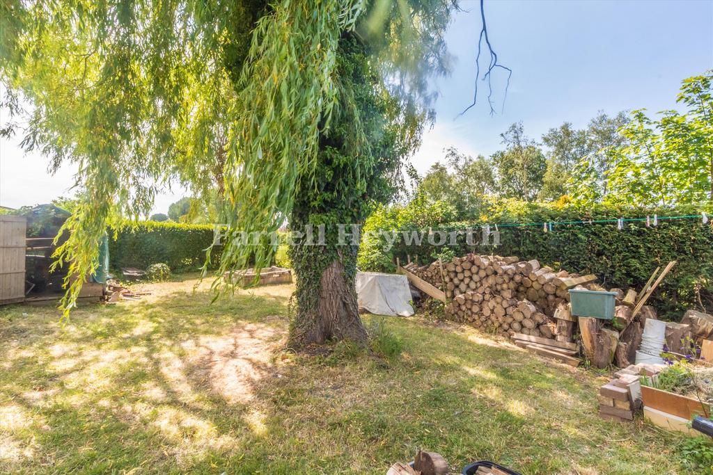 Garden image 11