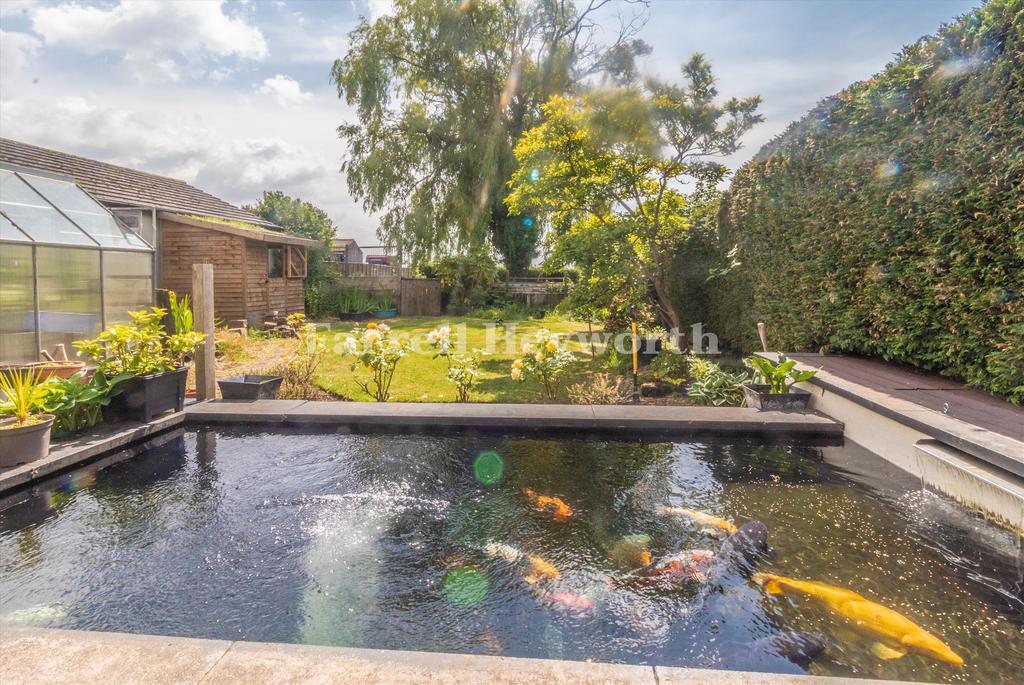 Garden image 3