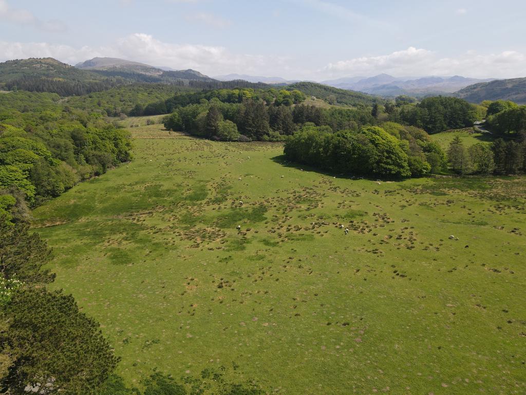 Approx. 29.7 Acres (12 Hectares) of Meadow and Pa