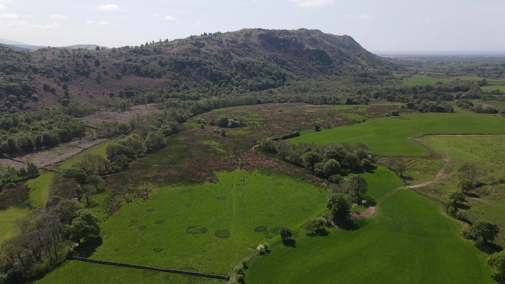 Approx. 81.58 Acres (33ha) of Agricultural Land a