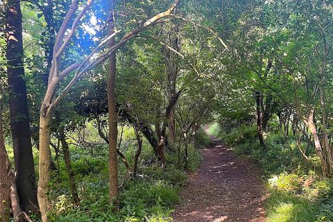 Land for sale, Woodland At Fownhope, Hereford, Herefordshire, HR1