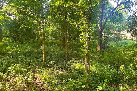 Land for sale, Woodland At Fownhope, Hereford, Herefordshire, HR1