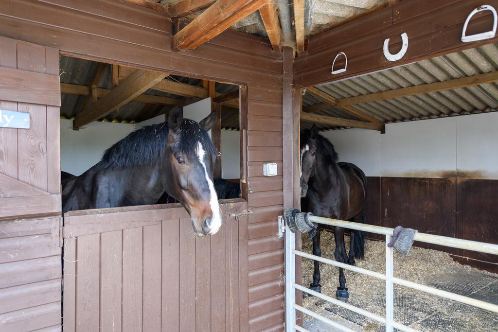Stables