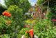 Stunning Gardens