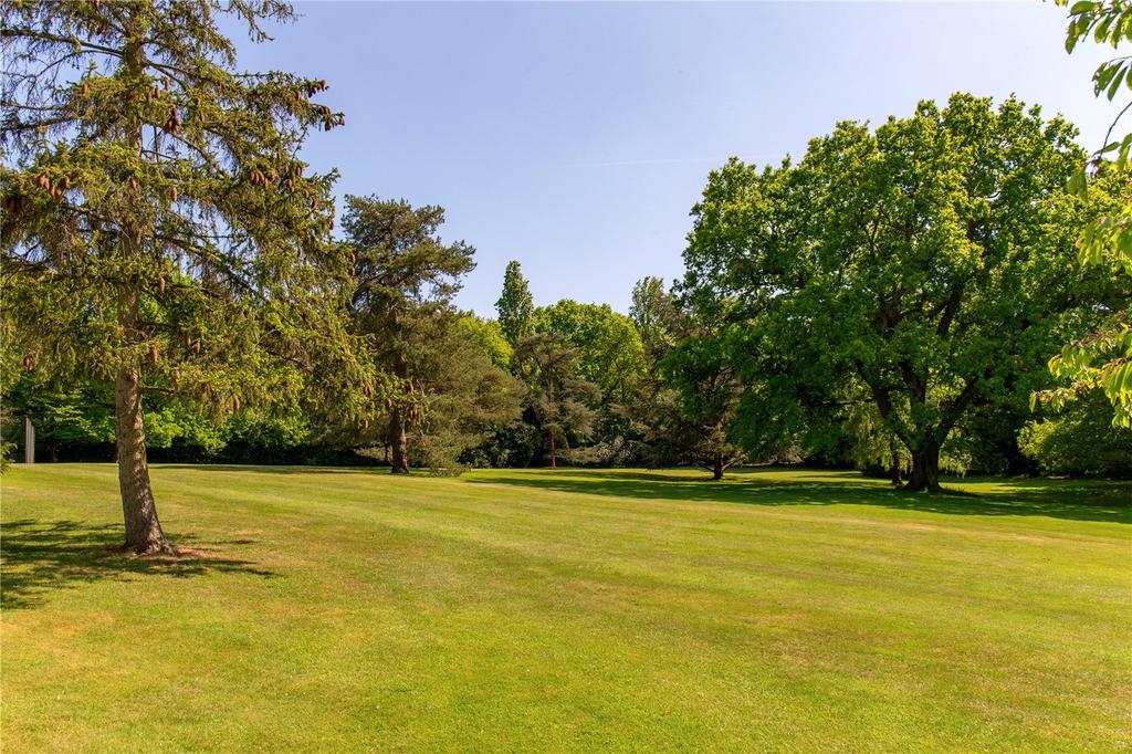 Grounds