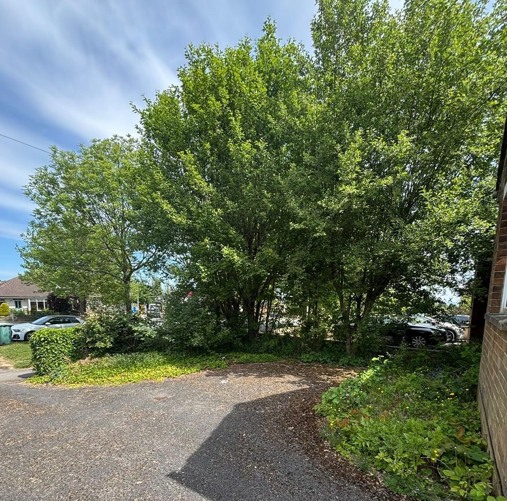 Front garden