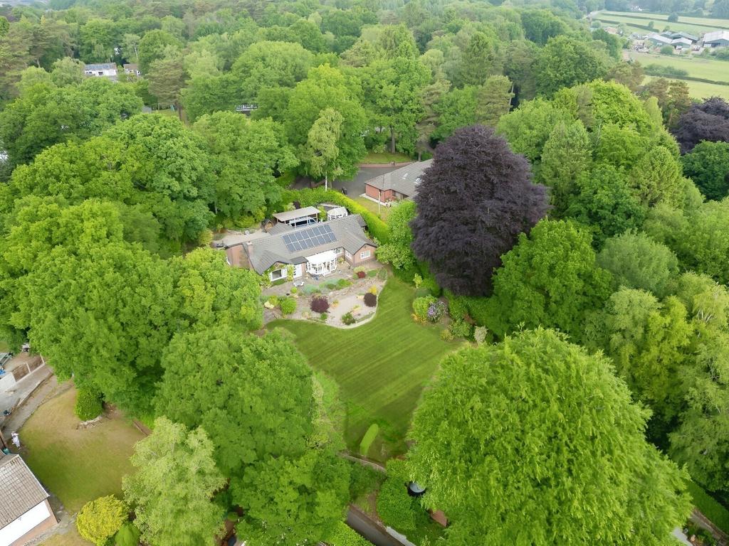 Aerial Land