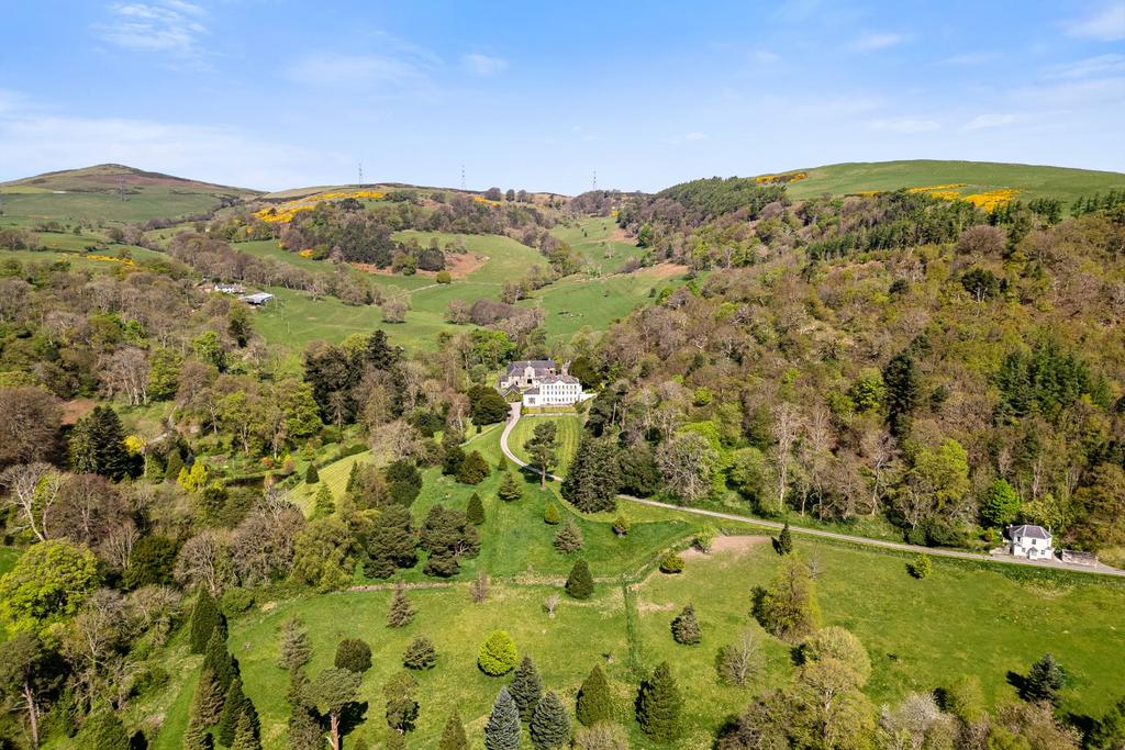 The Estate