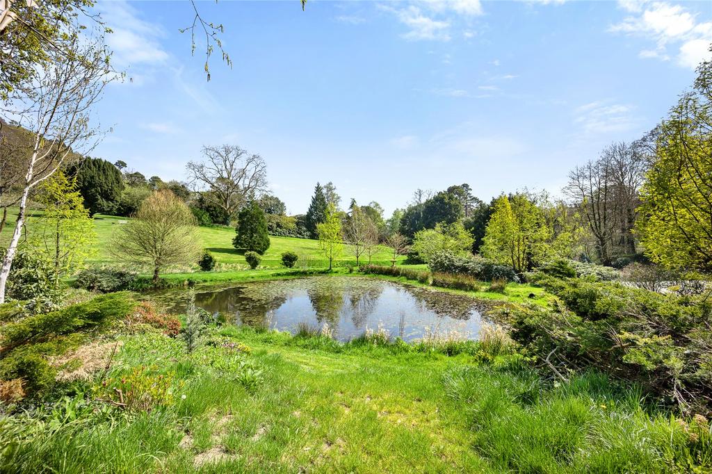 Garden Pond