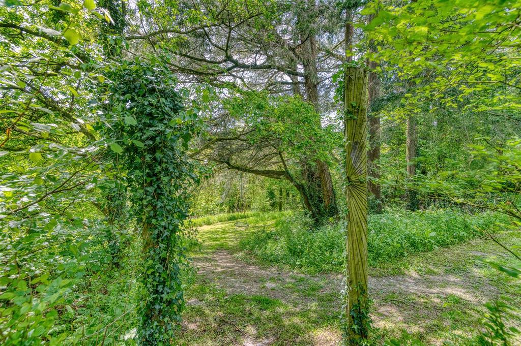 Woodlands
