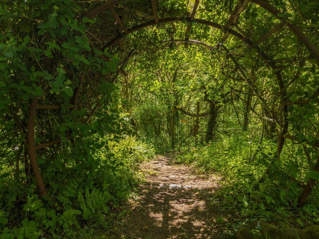 Woodlands