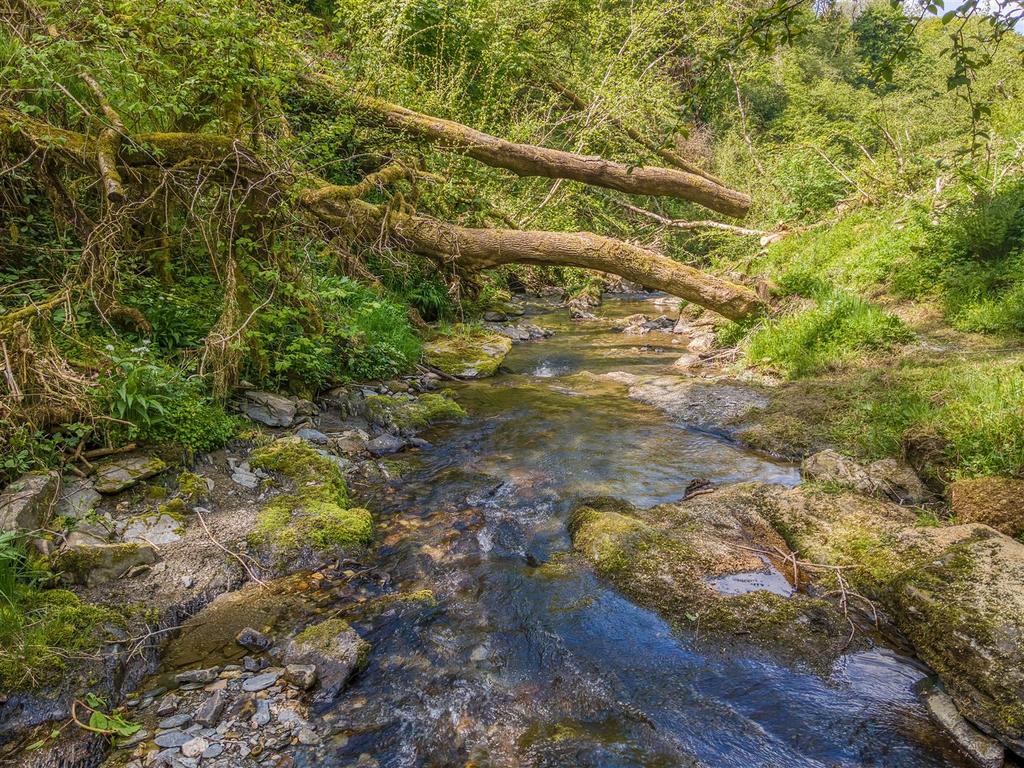 River boundary at bottom of Woodland