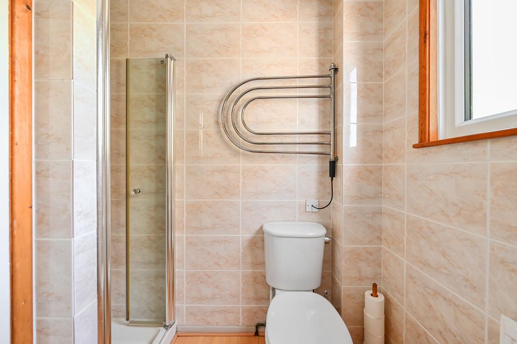 Tawny Pipits tn35 (59)