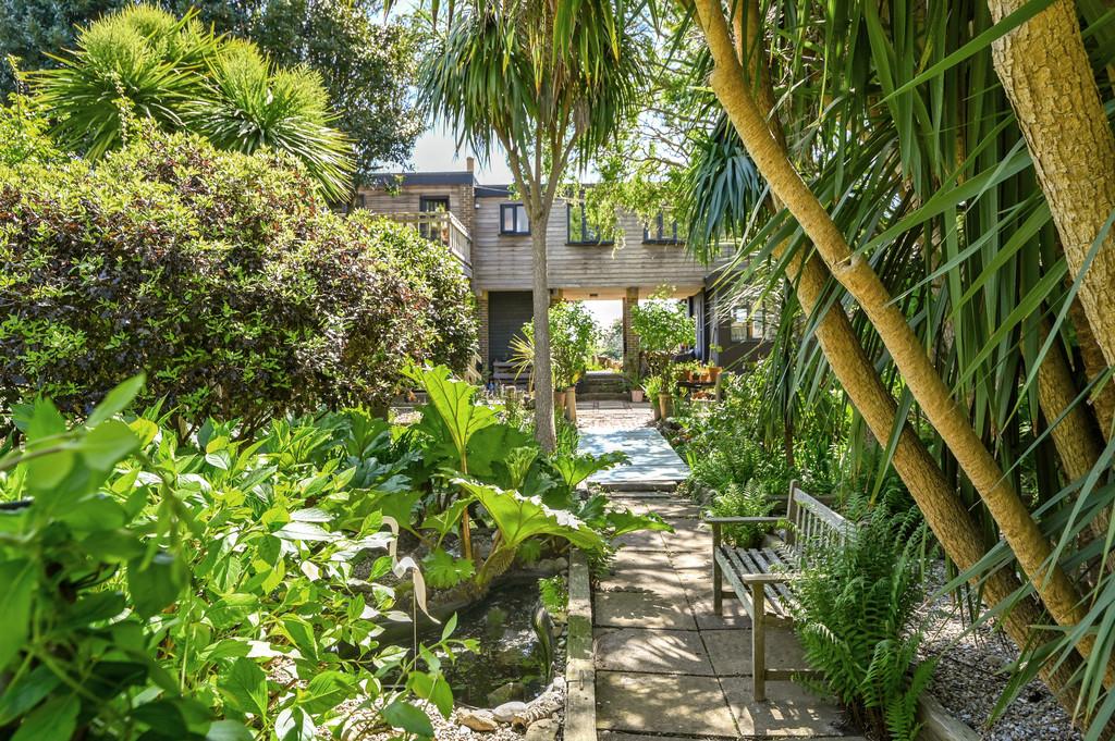 Tawny Pipits tn35 (15)