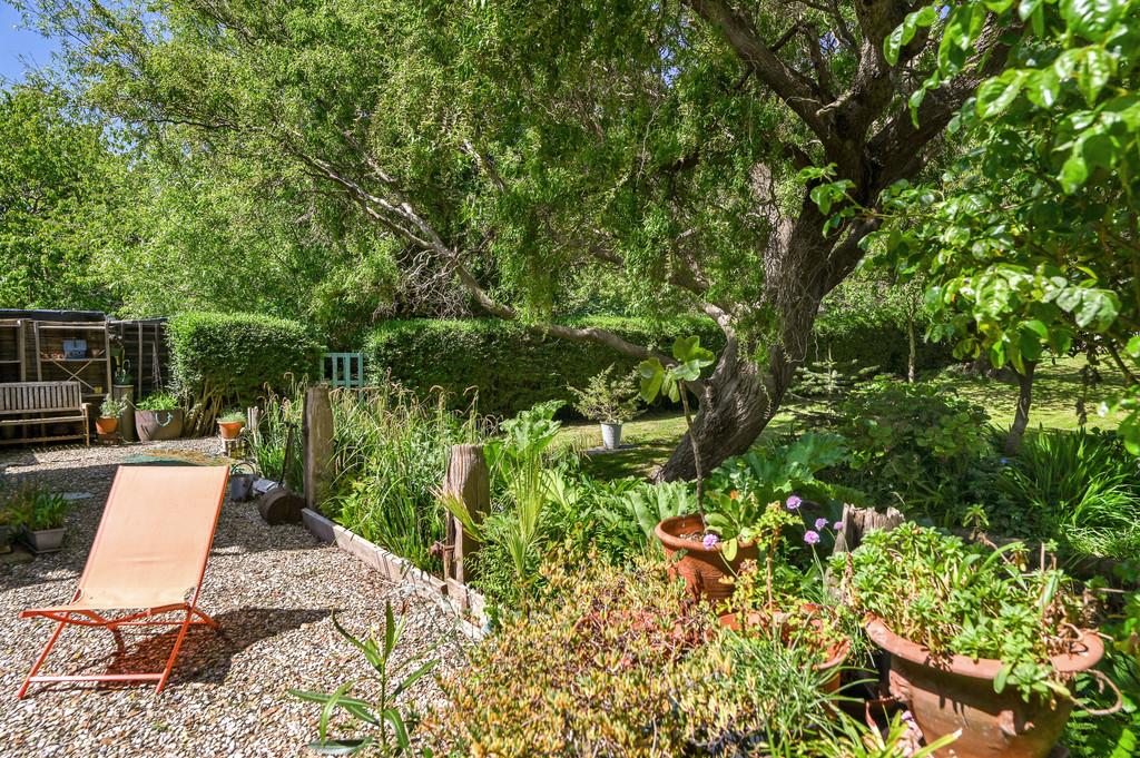 Tawny Pipits tn35 (10)