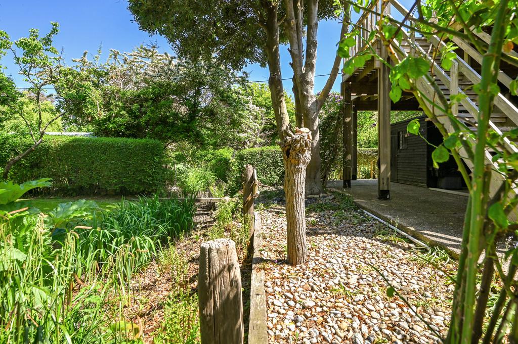 Tawny Pipits tn35 (11)