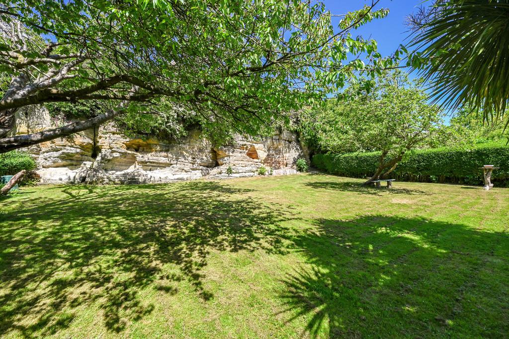 Tawny Pipits tn35 (14)