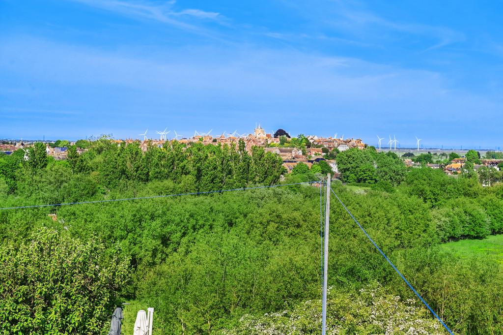 Cadborough Cliff TN31 (36)