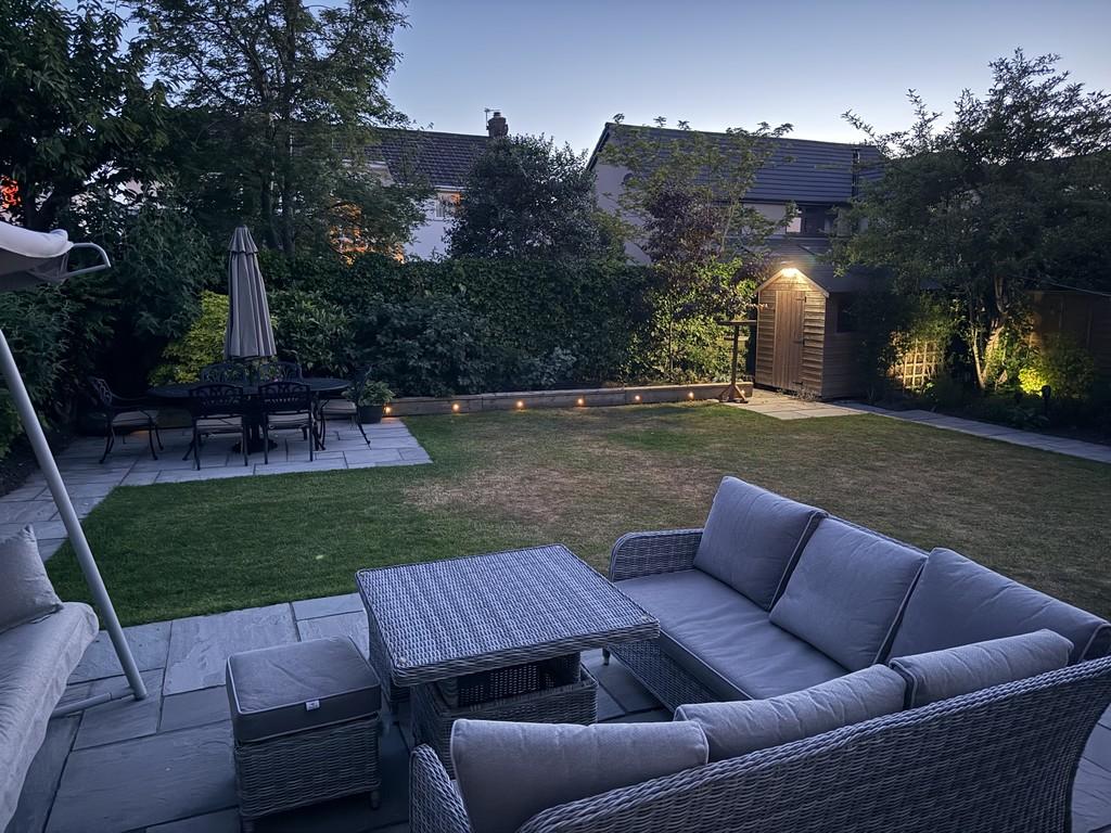 Garden in the evening 2