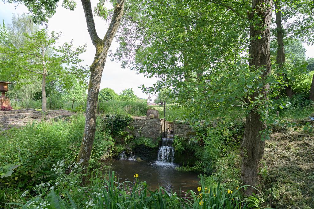 Old Sawmills-79