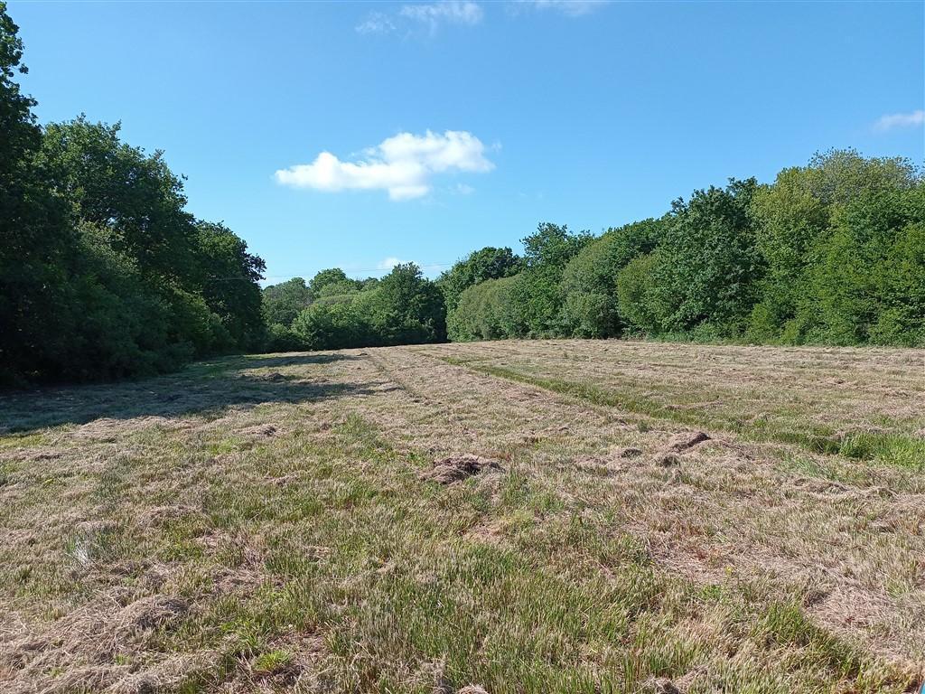 The Land - Just Under 11 Acres