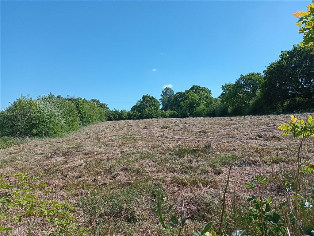 The Land - Just Under 11 Acres