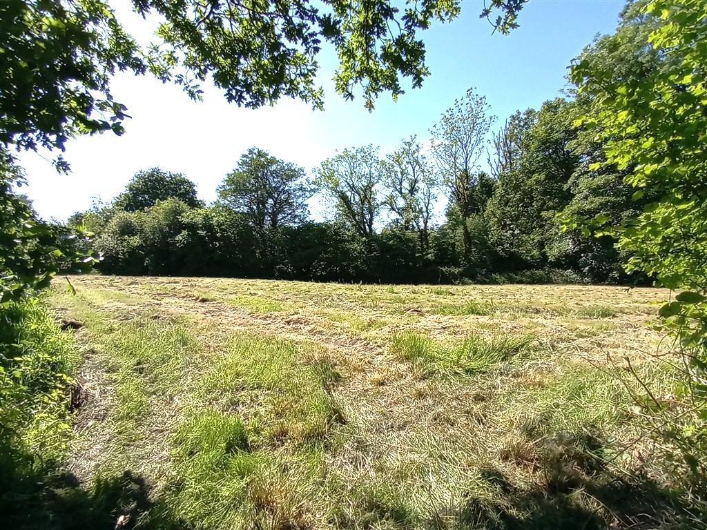 The Land - Just Under 11 Acres