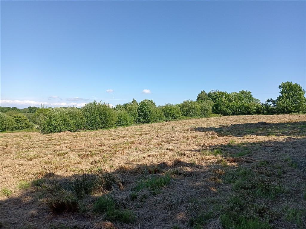 The Land - Just Under 11 Acres
