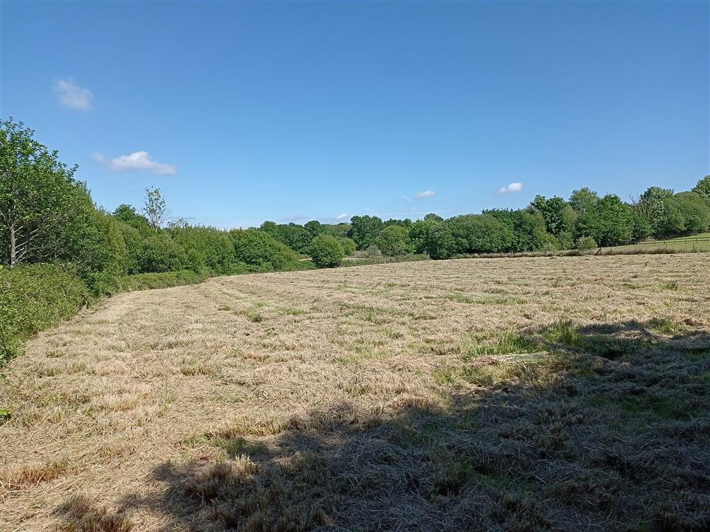 The Land - Just Under 11 Acres