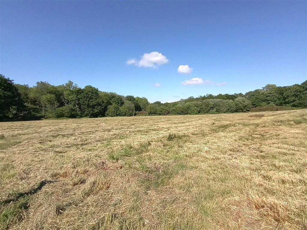 The Land - Just Under 11 Acres
