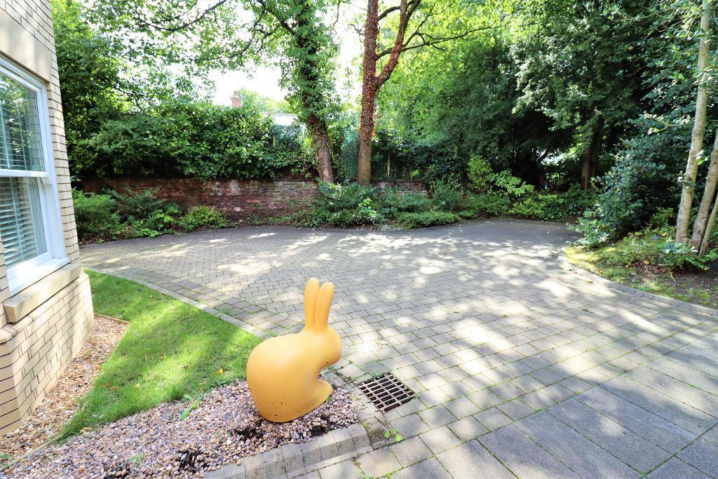 Driveway/Parking