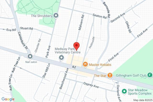 Google Maps Image