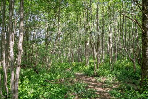 undefined, Pease Pottage Hill, Crawley