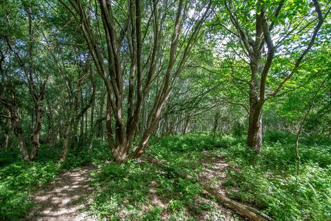 undefined, Pease Pottage Hill, Crawley