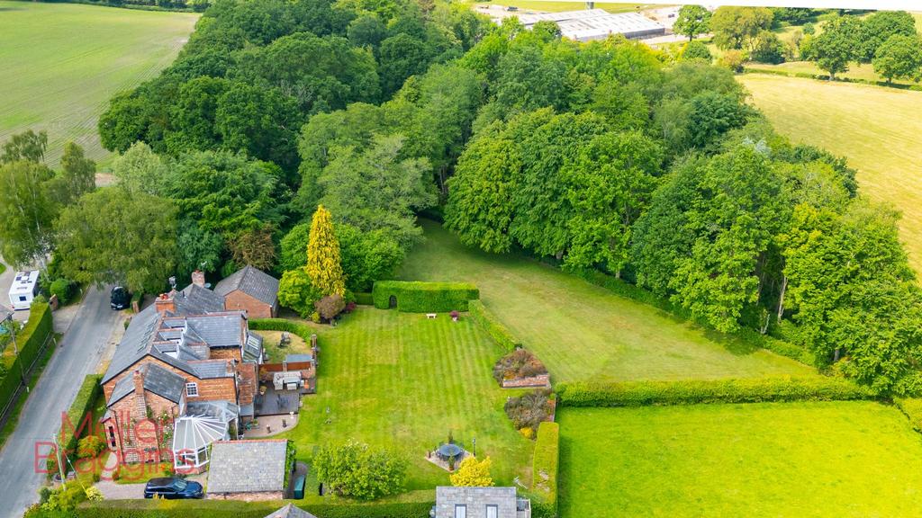 20250517-DJI 0066.jpg