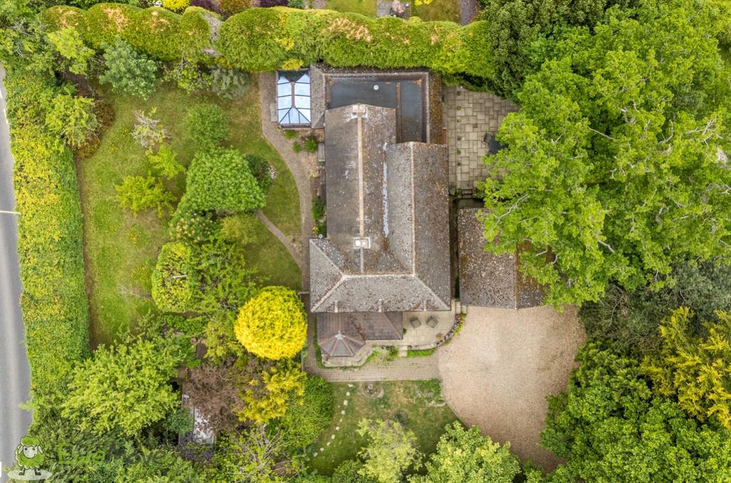 Drone View