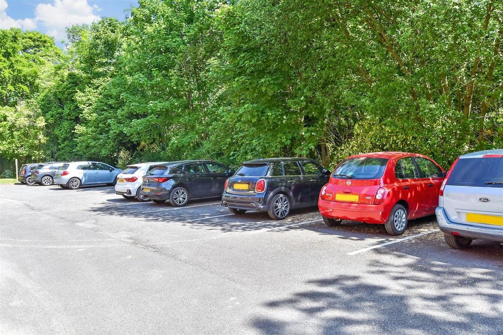 Driveway/Parking