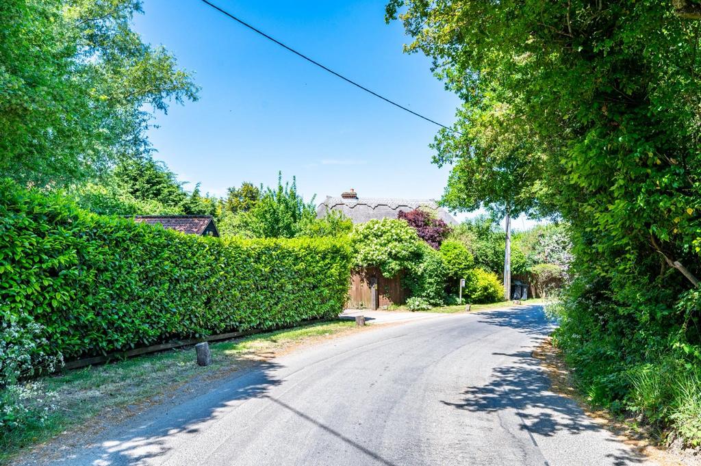 Country Lane