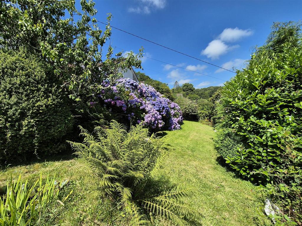 Sunny garden