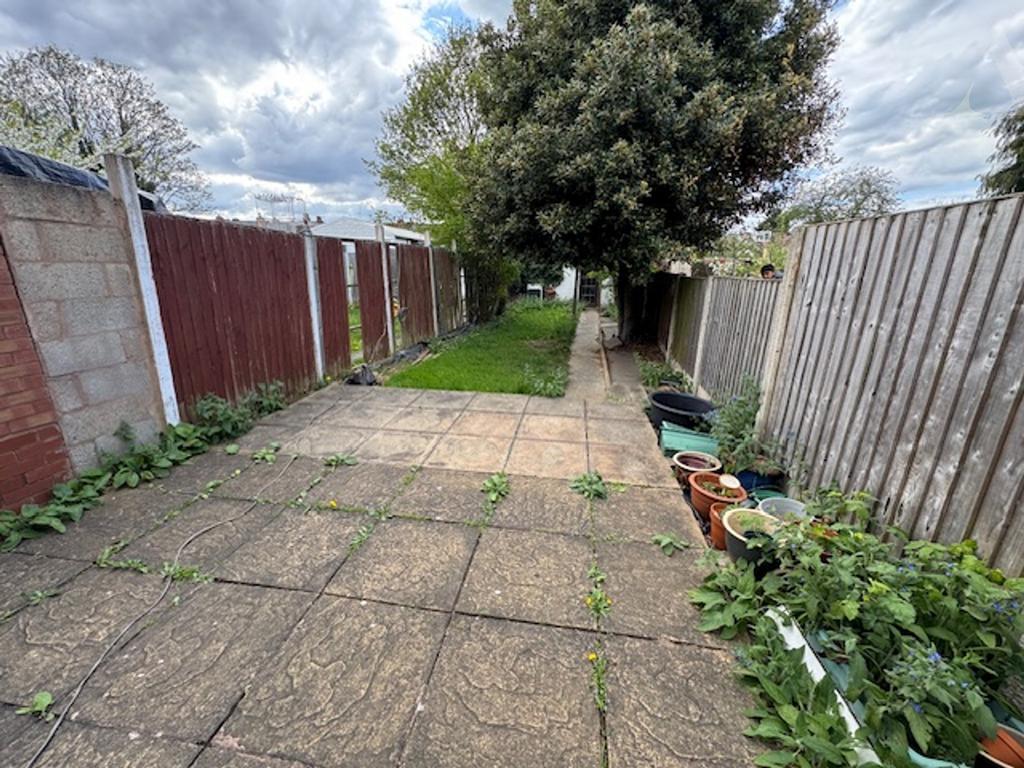 Southern garden