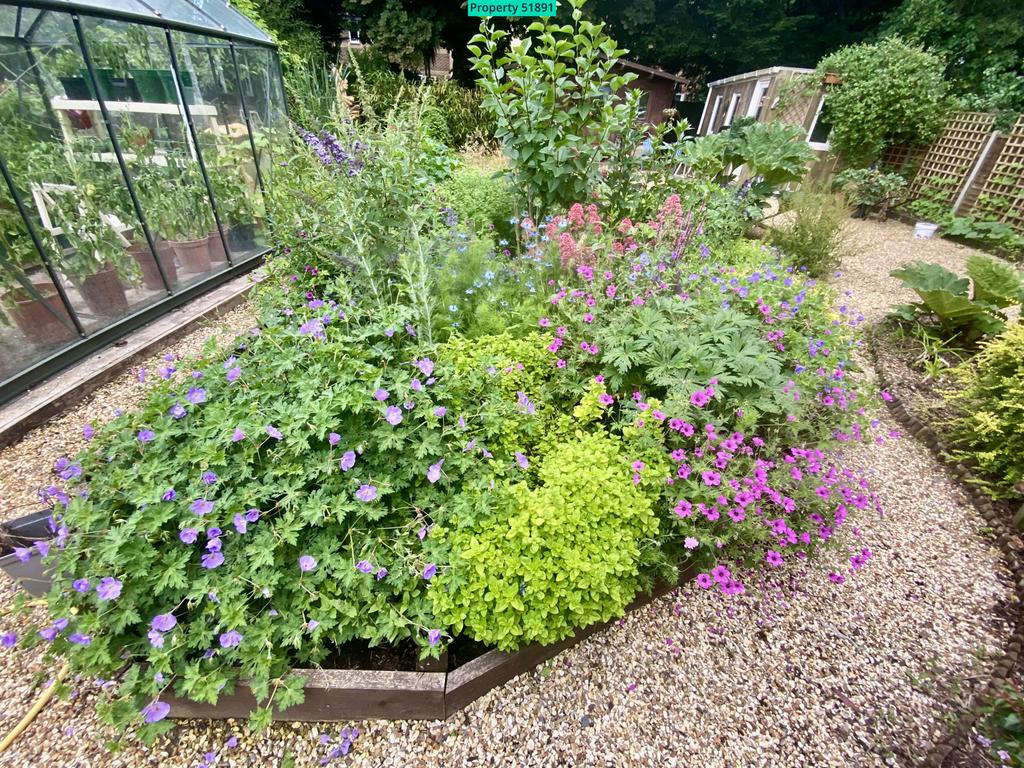 Central wildlife bed