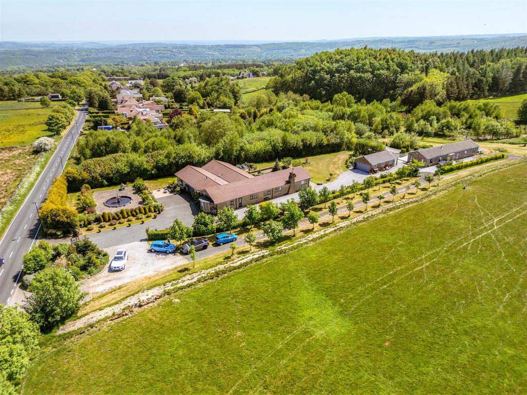 DJI 0222.jpg