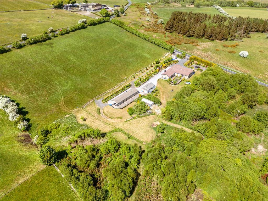 DJI 0231.jpg