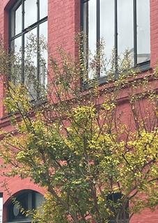 Office to rent, 7 Dilke St London SW3 4JE