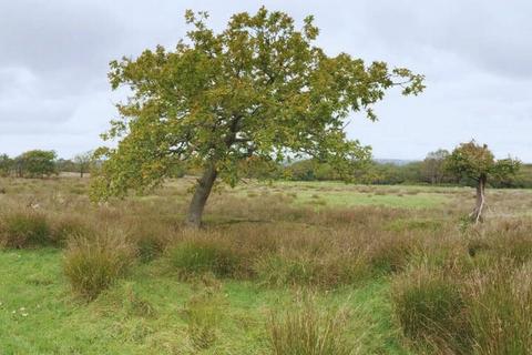 Land for sale, A48 Swansea SA6 6NT