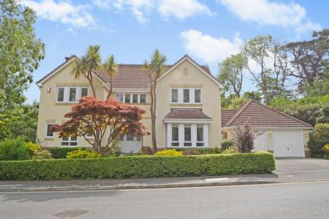 undefined, Wheal Regent Park, St. Austell PL25