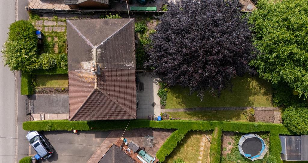 DJI 20250522150311 0338 D.jpg